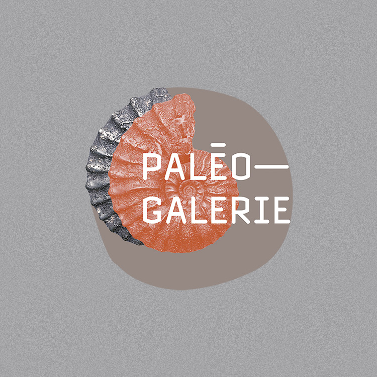 logotype pour paléogalerie de salignac par frederic mille 